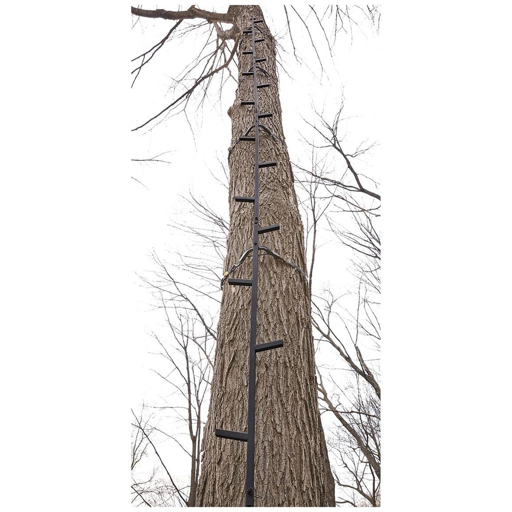 Climbing Stick Ladder T420