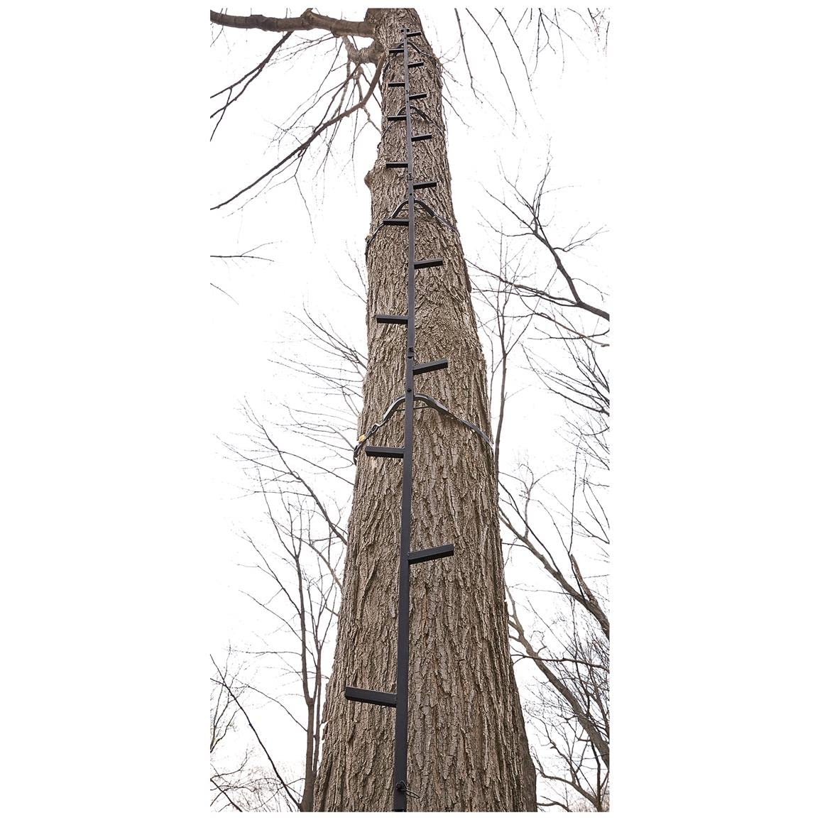 Climbing Stick Ladder T420