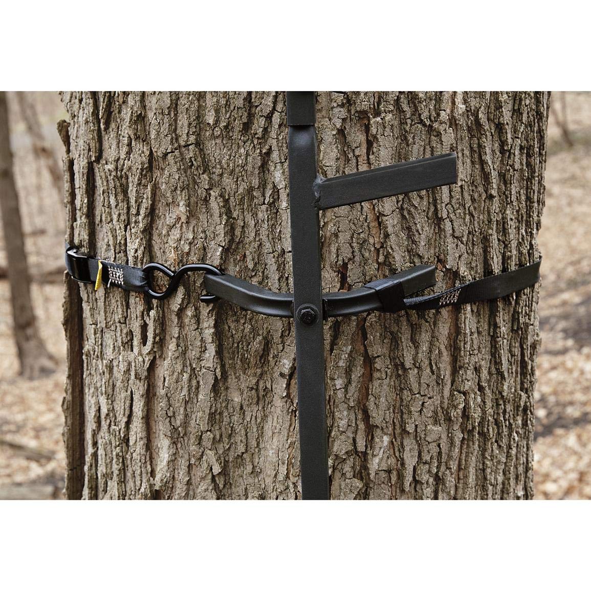 Climbing Stick Ladder T420