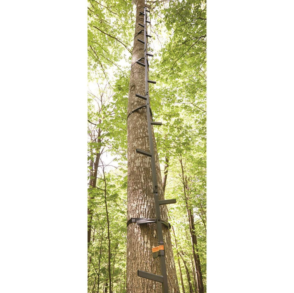 Climbing Stick Ladder T420