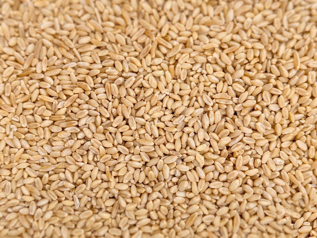 Organic Hard White Wheat Berries 25 Pounds K655998