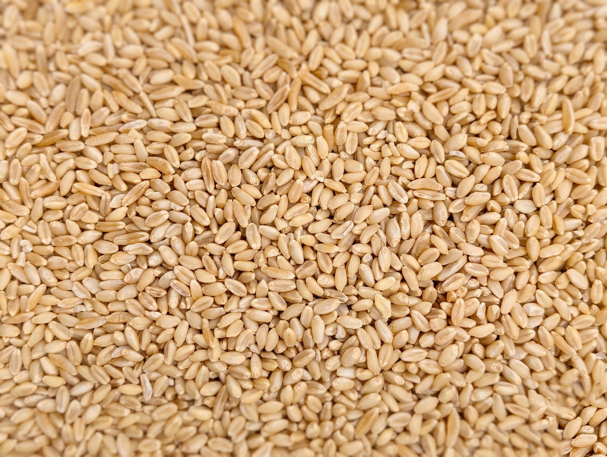 Organic Hard White Wheat Berries 25 Pounds K655998